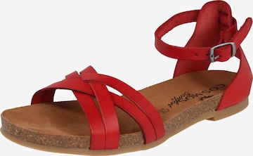 COSMOS COMFORT Sandalen met riem in Rood: voorkant