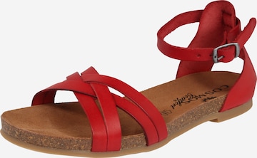 COSMOS COMFORT Strap Sandals in Red: front