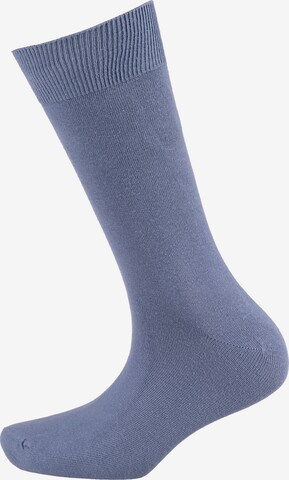 camano Socks in Mixed colors