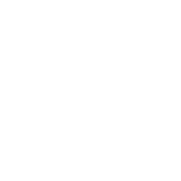 Janice Logo