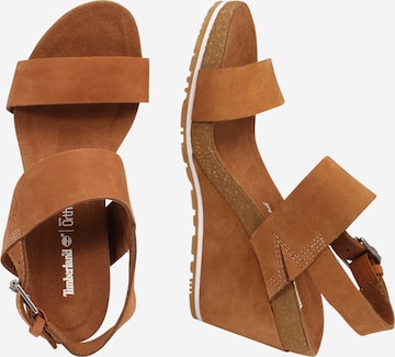 TIMBERLAND Sandalen met riem 'Capri Sunset' in Bruin: zijkant