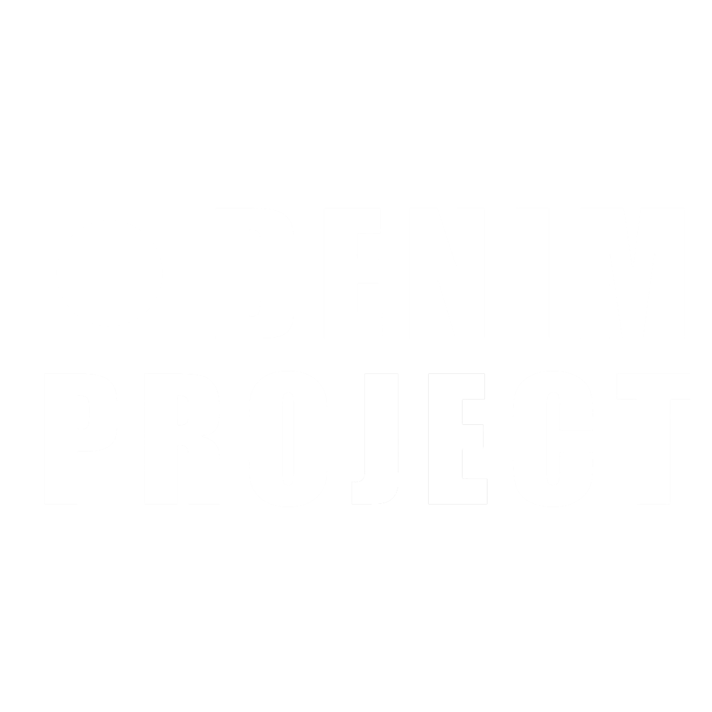 Denim Project Logo