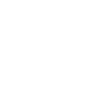 Tommy Life Logo
