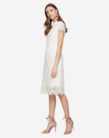 Robe de cocktail IVY OAK en blanc