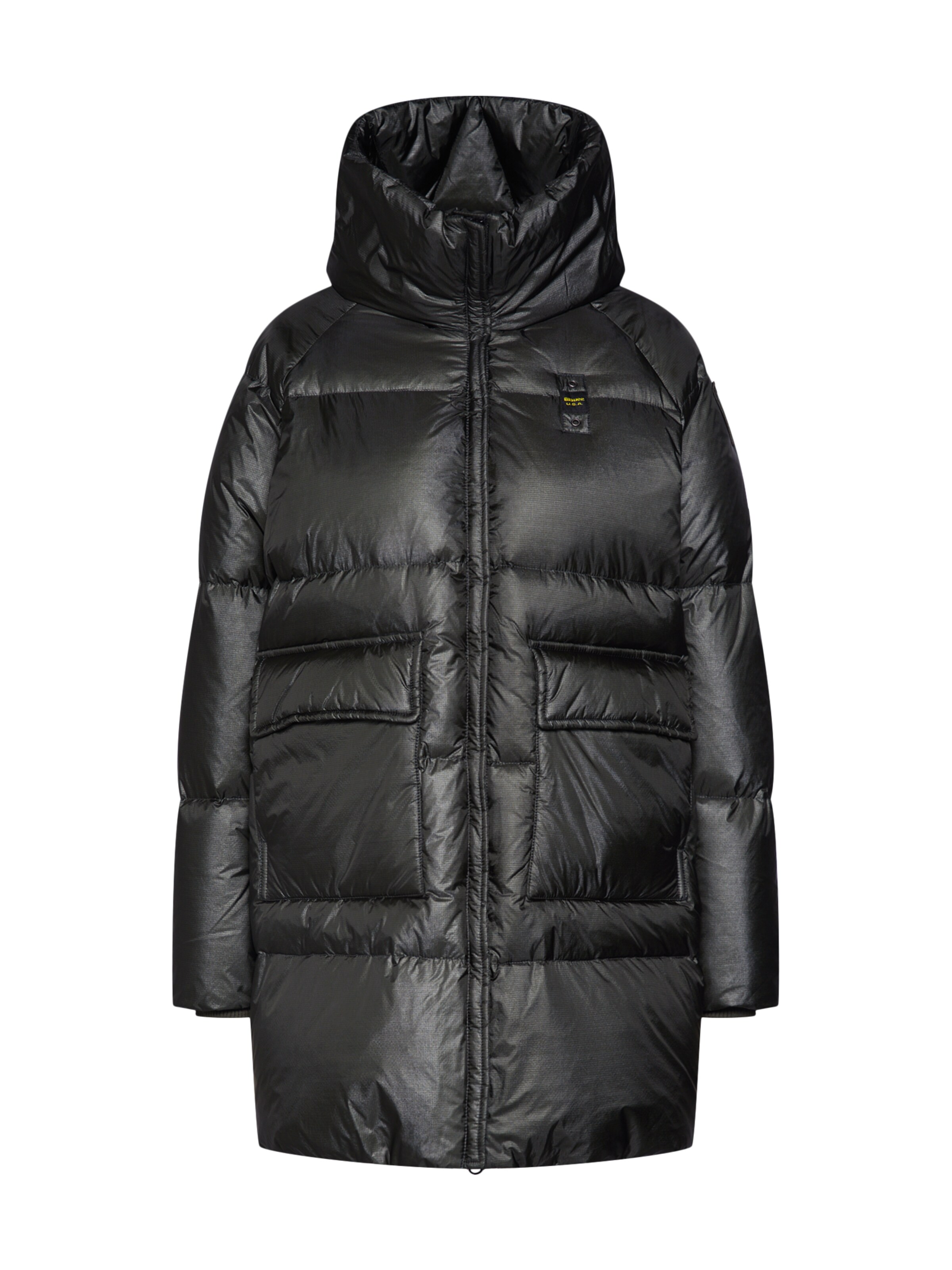 Blauer.USA - Winterjas 'IMBOTTITO PIUMA' in de kleur Spar