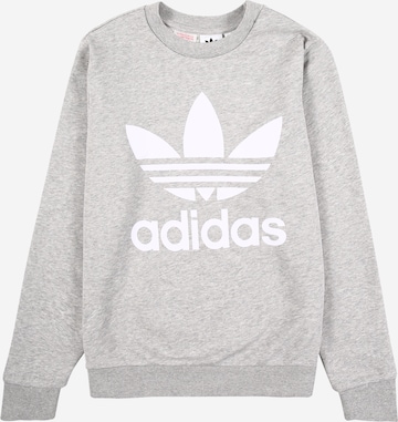 ADIDAS ORIGINALS Sweatshirt in Grau: front