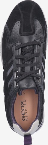 GEOX Sneaker 'Snake' in Schwarz