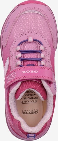 GEOX Sneaker in Pink