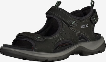 ECCO Hiking Sandals in Black: front
