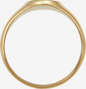 ELLI PREMIUM Ring in Goud