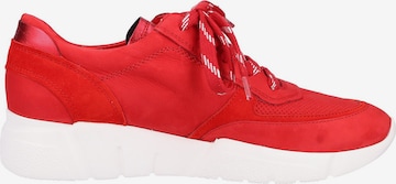 Paul Green Sneaker in Rot