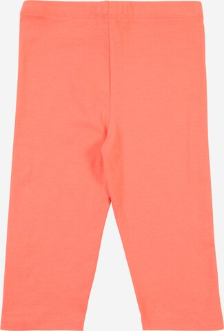 ESPRIT Skinny Leggings in Orange: zadná strana