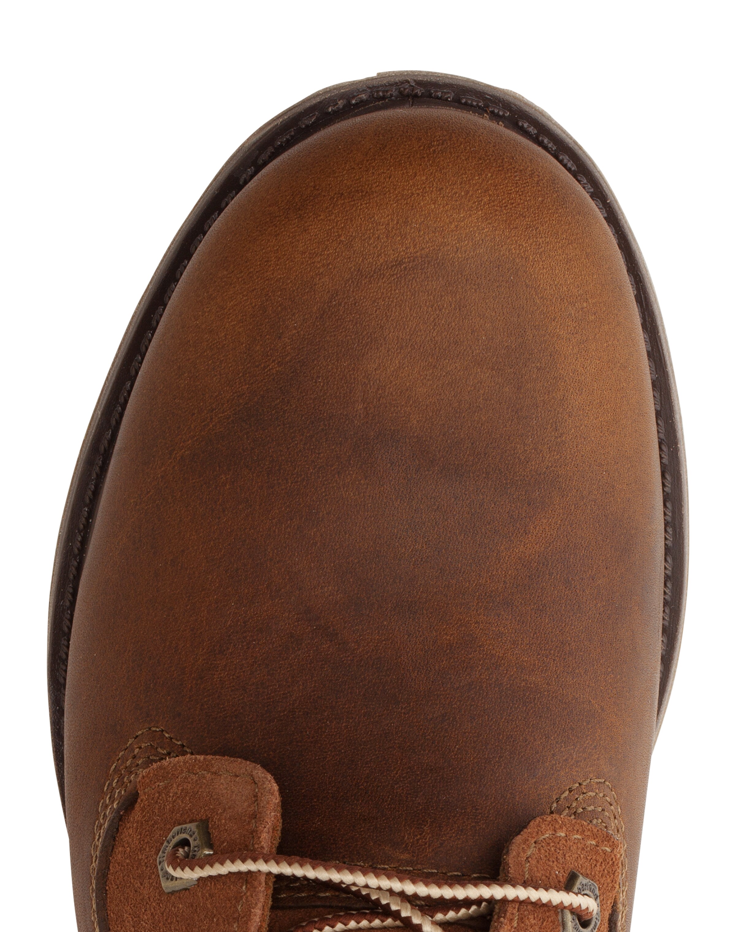 TIMBERLANDGležnjače na vezanje 'Authentics' - smeđa boja