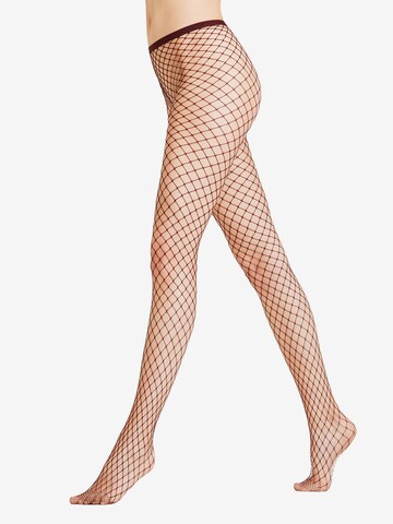 FALKE - regular Leotardos finos 'Classic Net' en rojo: frente