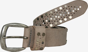 Petrol Industries Belt in Grey: front