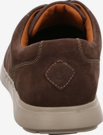 CLARKS Lace-Up Shoes in Brown