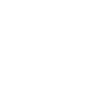Gabbiano Logo