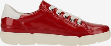 ARA Sneakers laag in Rood