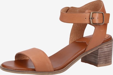 Kickers Strap Sandals in Brown: front