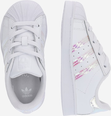 ADIDAS ORIGINALS Trainers 'Superstar' in White