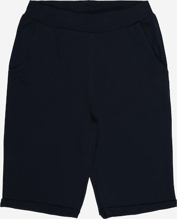 NAME IT Regular Broek 'Viking' in Blauw: voorkant