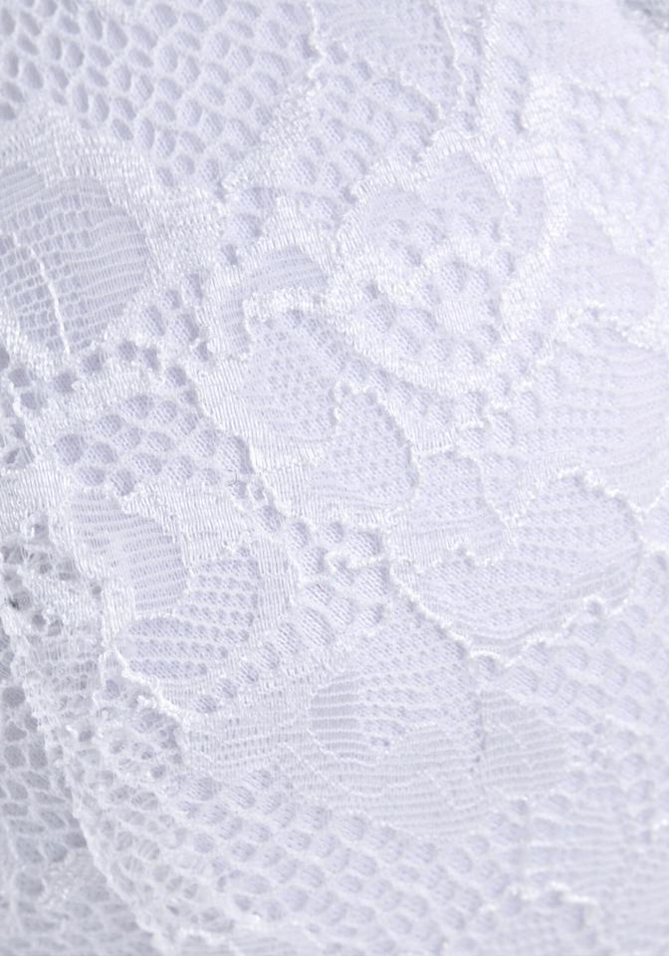 LASCANA Пуш-ап Бюстгальтер в Белый