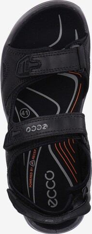 ECCO Sandale 'Offroad' in Schwarz