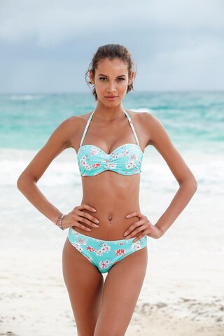 SUNSEEKER Bandeau Bikinitop 'Ditsy' in Blau: Vorderseite
