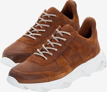 LLOYD Sneaker in Braun