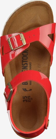 BIRKENSTOCK Sandalen 'Rio' in Rood