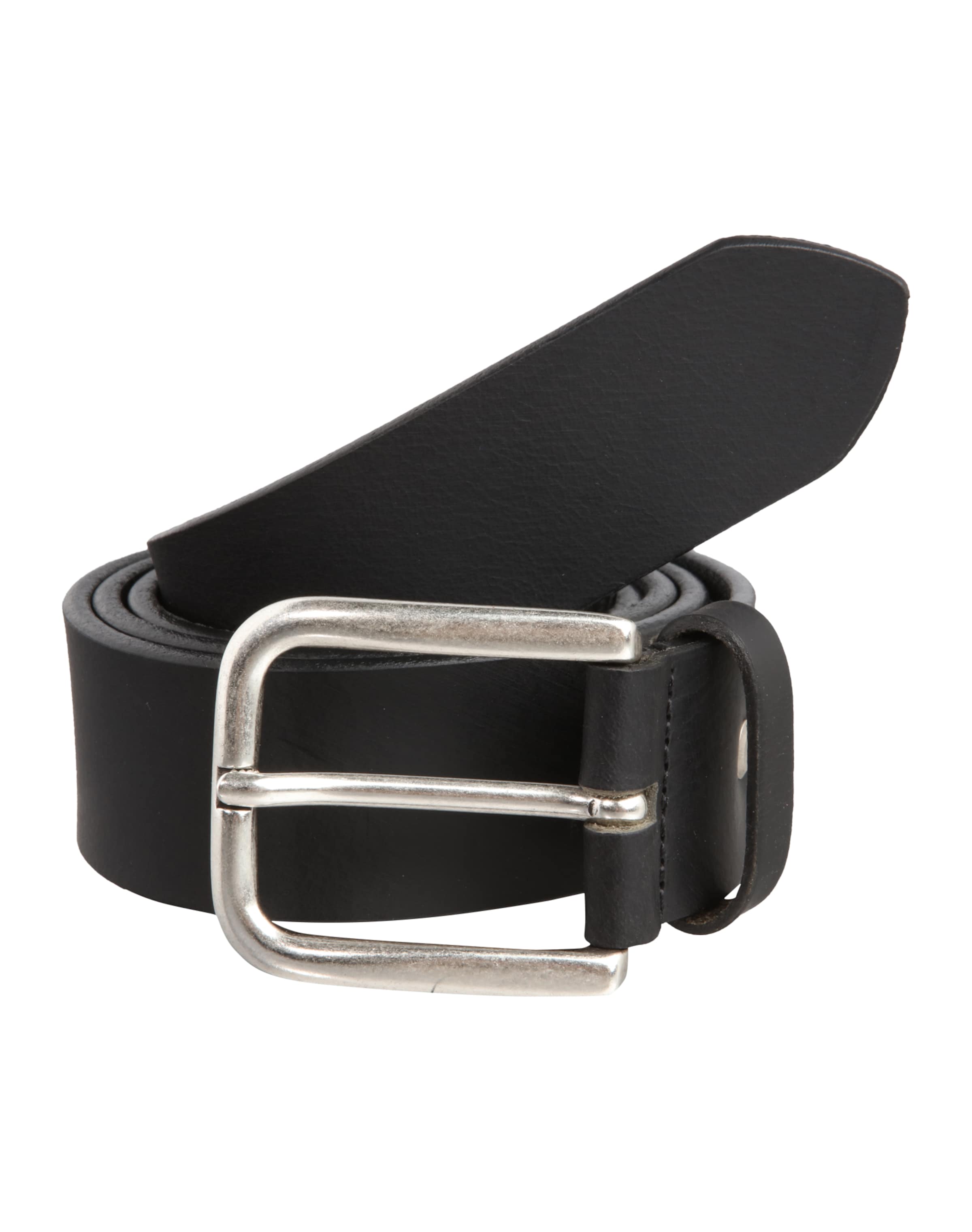 VANZETTI Belt in Black: front