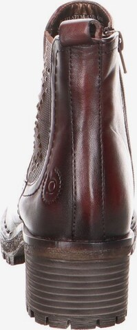 bugatti Ankle Boots in Brown