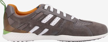 GEOX Sneaker 'Snake' in Grau