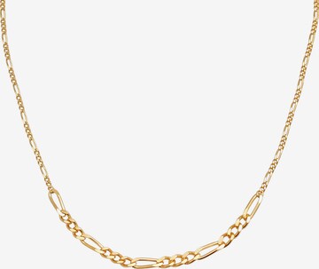 ELLI PREMIUM Ketting 'Figaro' in Goud