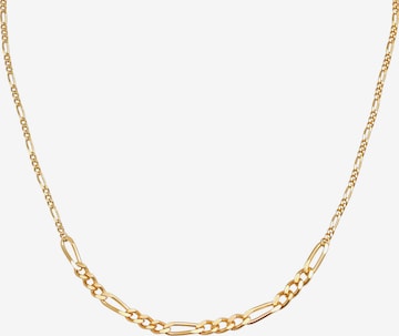 ELLI PREMIUM Halskette 'Figaro' in Gold