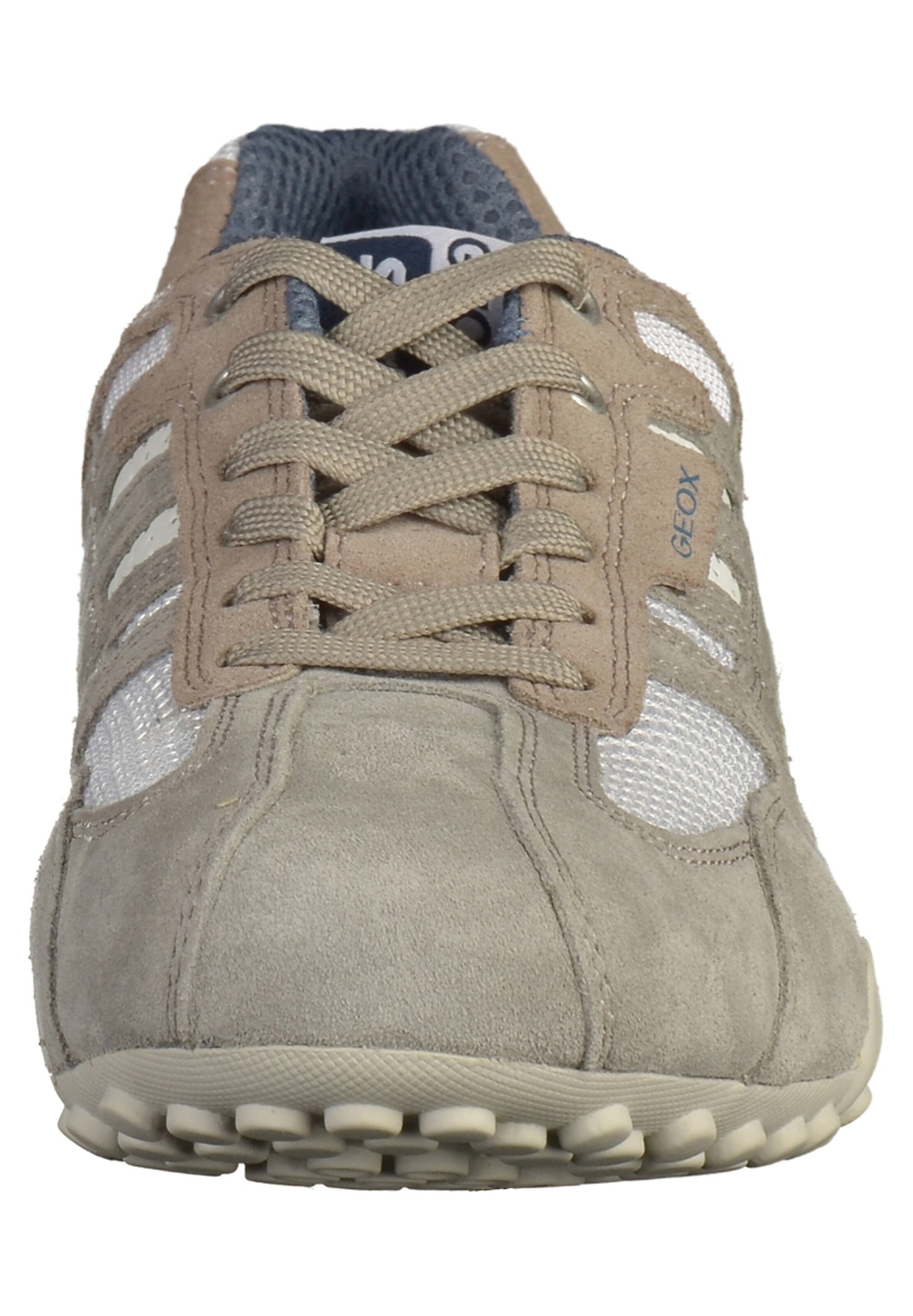 Baskets basses GEOX en gris