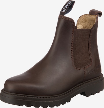 Blue Heeler Boots in Brown: front