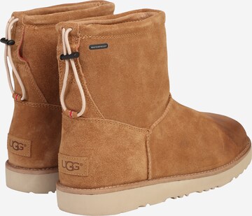 UGG Boots 'Classic Toggle' in Braun