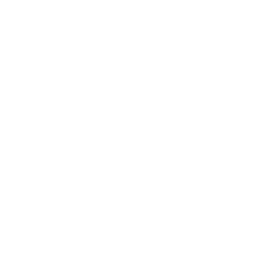 Raid Logo