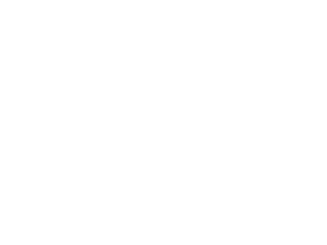 LapaPlus Logo