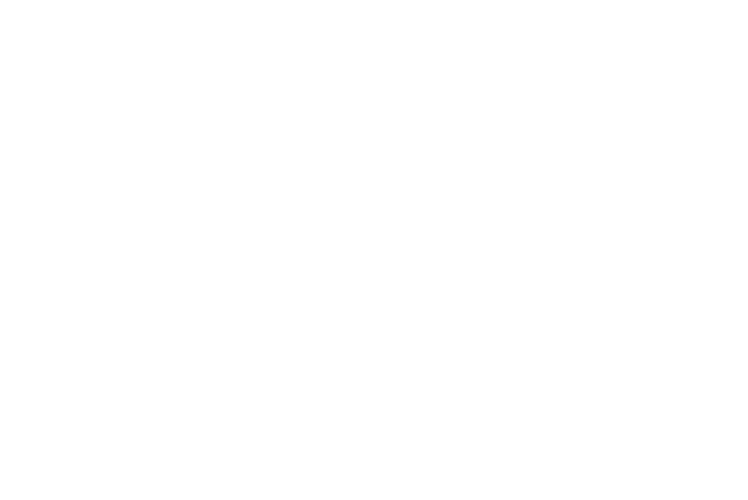 ARENA Logo