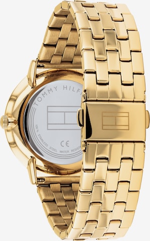 TOMMY HILFIGER Analoguhr in Gold