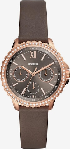 FOSSIL Analog Watch in Brown: front