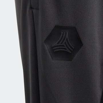 ADIDAS PERFORMANCE Regular Sporthose 'Tan' in Grau
