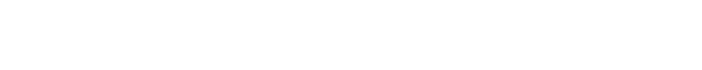 Schiesser Logo