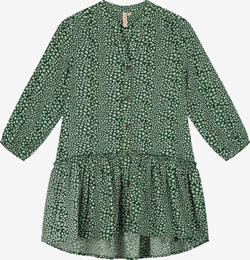 Shiwi Φόρεμα σε πράσινο: μπροστά