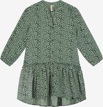 Robe Shiwi en vert : devant