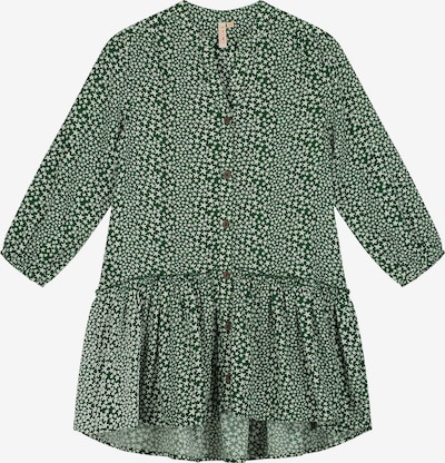 Shiwi Φόρεμα σε πράσινο / λευκό, Άποψη προϊόντος