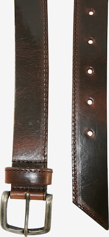 Petrol Industries Belt in Brown