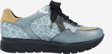 SEMLER Lace-Up Shoes in Grey